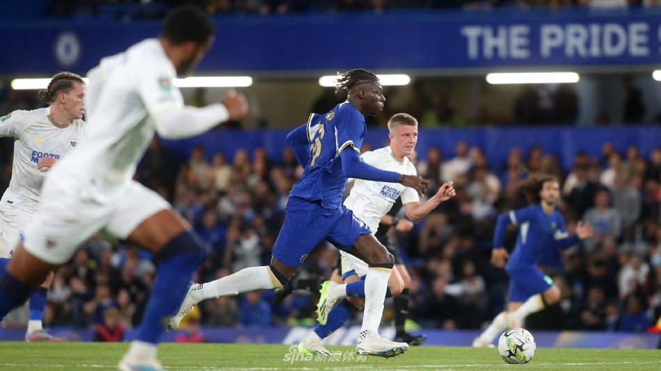 让篮球迷为 让篮球迷为