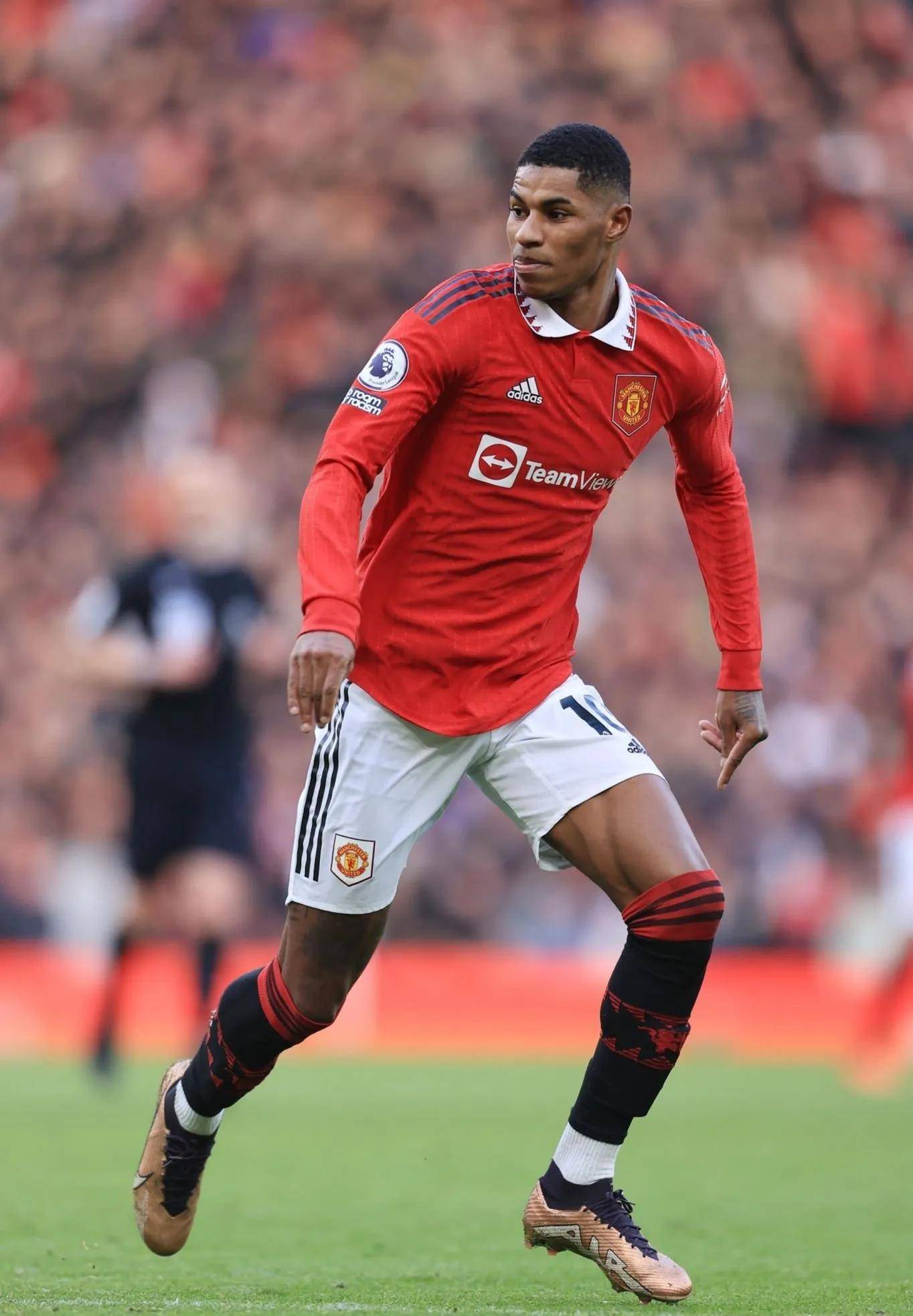 需要在此期 需要在此期